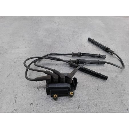 CEWKA ZAPŁONOWA RENAULT CLIO III 1.2 16V 75KM 1.2 16V 2006 040100325 