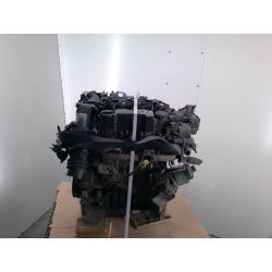Engine FORD FOCUS II 1.6 TDCI 109KM1.6 TDCI2004G8DA031092816                                            