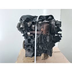 Engine FORD FOCUS II FL 1.6 TDCI2009GBDDR81102588                                            
