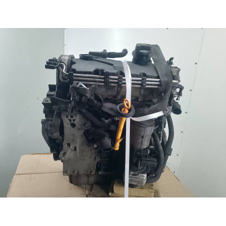 Engine VW GOLF V 1.9 TDI 105KM 1.9 TDI 2008 BKC LA7W 105 3210 