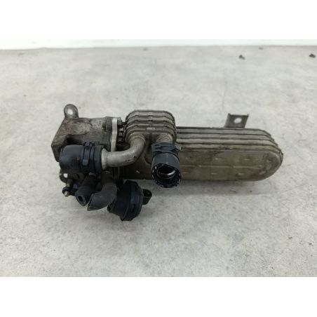 ZAWÓR EGR Z CHŁODNICĄ SPALIN VW PASSAT B6 2.0 TDI 140KM 2.0 TDI 2006 03G131513J L041 140 4126 