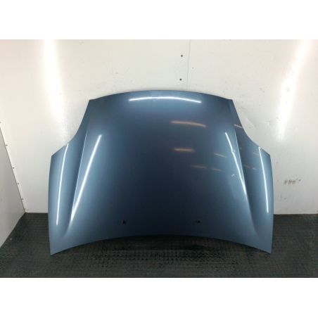 HOOD FIAT BRAVO II 1.4 16V 1.4 16V 2008 890/B 890/B 90 4194 