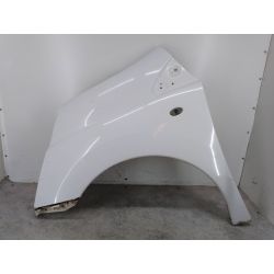 BŁOTNIK LEWY PRZÓD PEUGEOT EXPERT II 2.0 HDI 120KM2.0 HDI2006EWPEWP1204810                                            