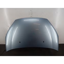 HOOD FORD S-MAX I 2.0 16V200686861455290                                            