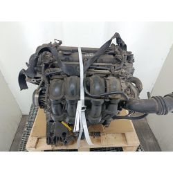 SILNIK FORD FOCUS II 1.6 TI-VCT 115KM1.6 TI-VCT2005HXDA031155580                                            