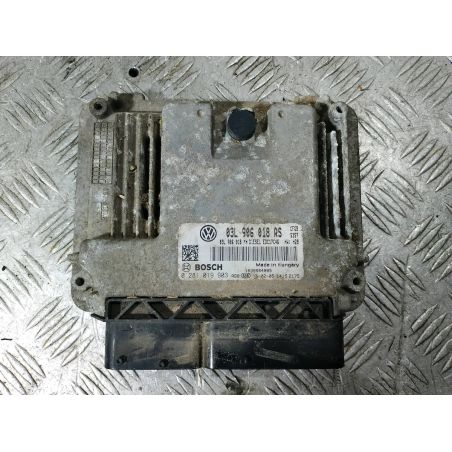 KOMPUTER, STEROWNIK SKODA SUPERB II 2.0 TDI 2013 03L906018RS 
